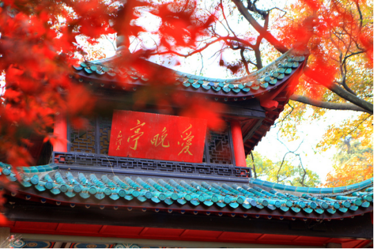&#20061;&#28216;&#24179;&#21488;&#97;&#112;&#112;&#23448;&#32593;&#45;&#20061;&#28216;&#40;&#20013;&#22269;&#41;